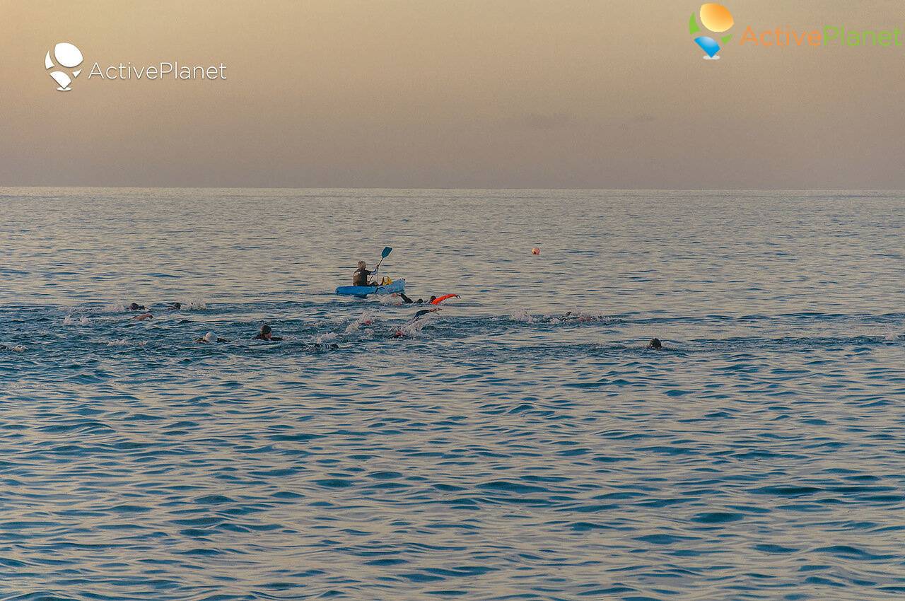 Open Water Swimming Gathering, Cyprus